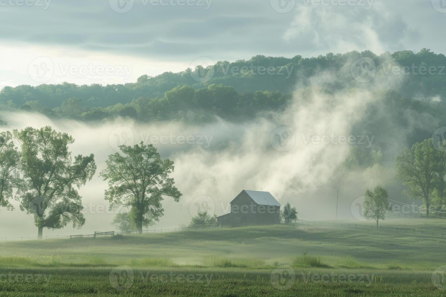 Rolling fog in a rural setting photo