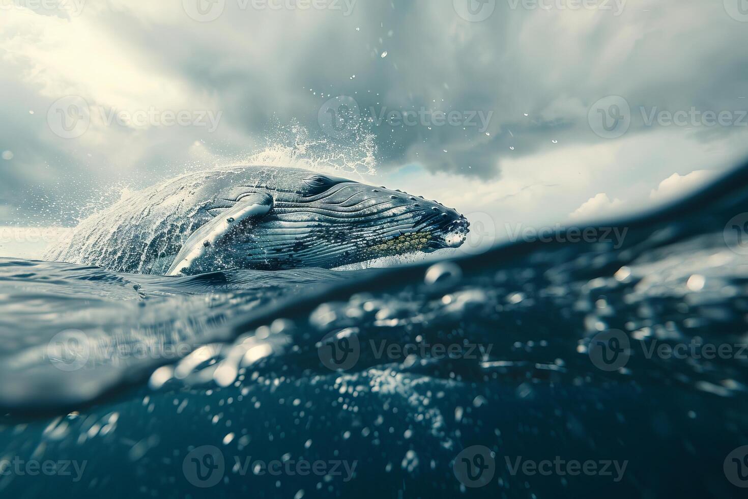 Refreshing splash of water from a diving whale in the open ocean photo