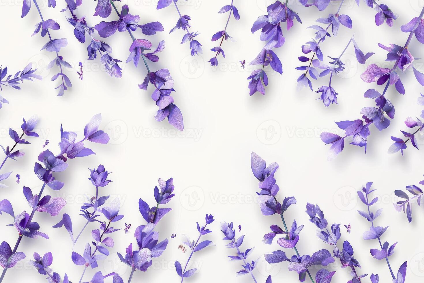 A close up of purple flowers with a white background photo