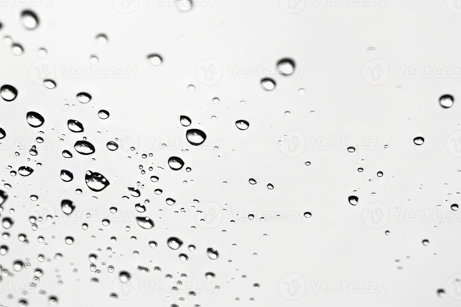 Gentle raindrops falling against a soft transparent white backdrop, evoking tranquility photo