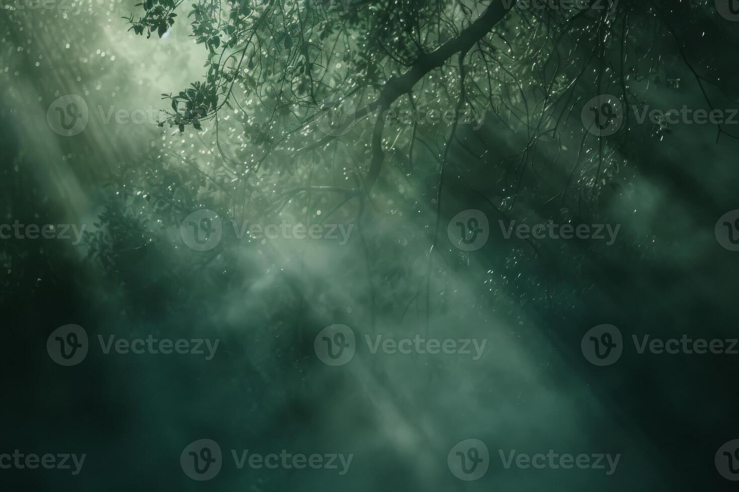 Wisps of fog in a mystical forest photo
