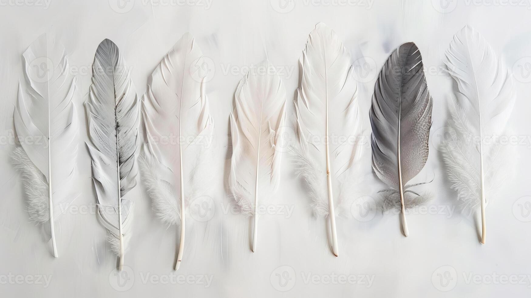 Delicate bohemian feathers arranged in a graceful composition on a clean white canvas photo