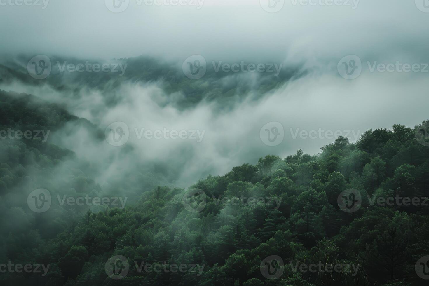 Rolling fog in a misty valley photo