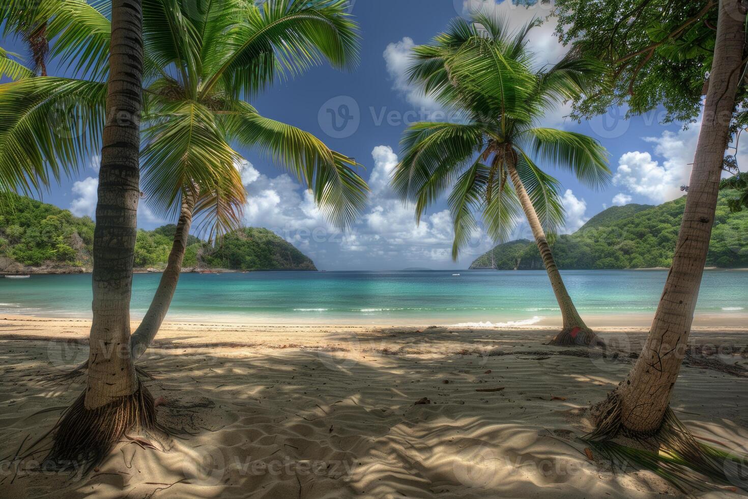 A lush tropical paradise, with palm trees and white sandy beaches photo