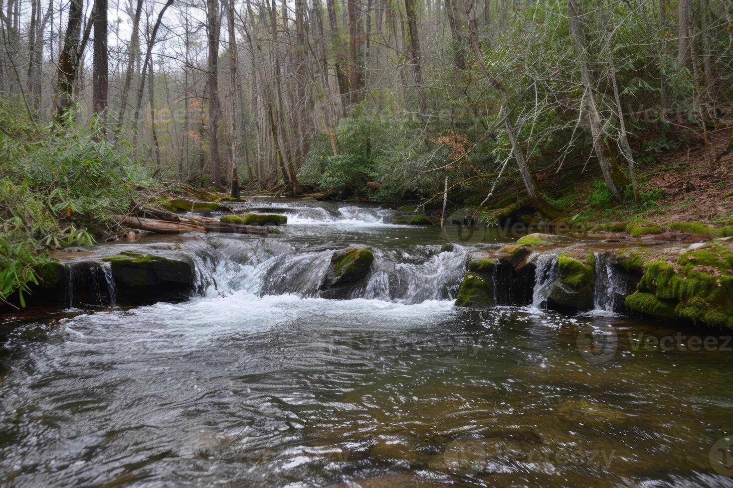 A serene forest stream, with crystal-clear water cascading over moss-covered rocks photo
