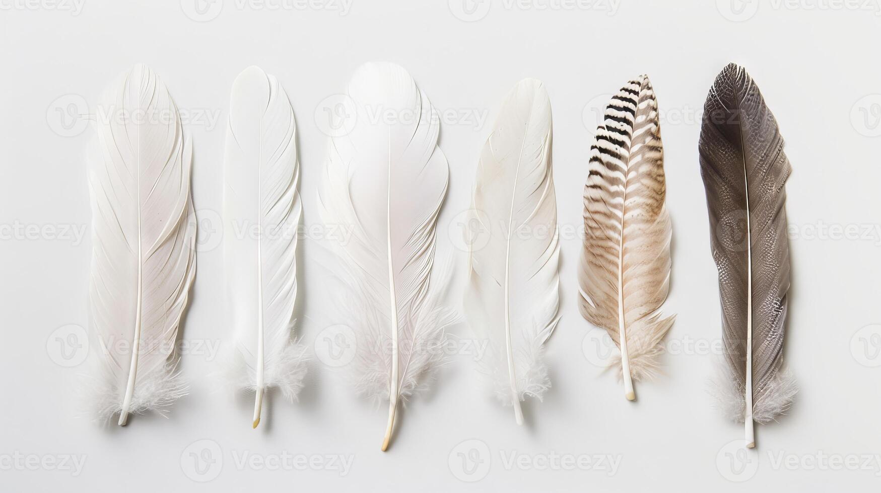 Boho-inspired feathers creating a serene and calming atmosphere against white photo