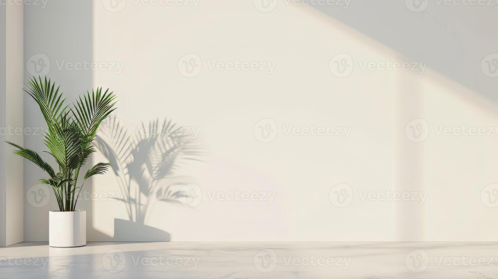Clean and simple backdrop with clear area for text overlay photo