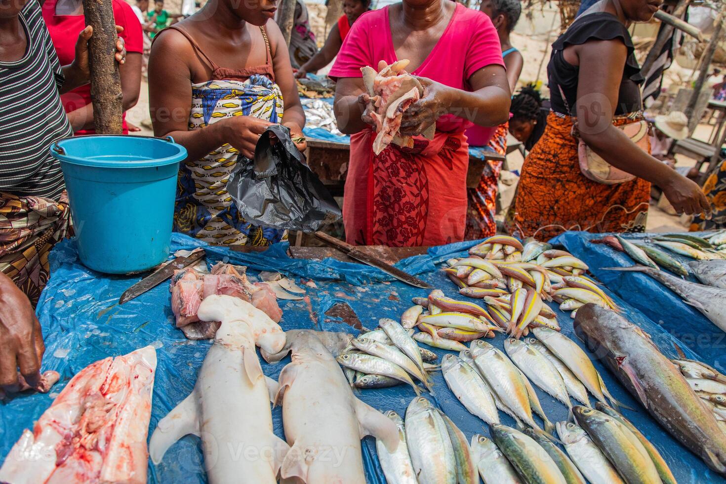 Fresh fish food at the local market, Toamasina, Madagascar photo