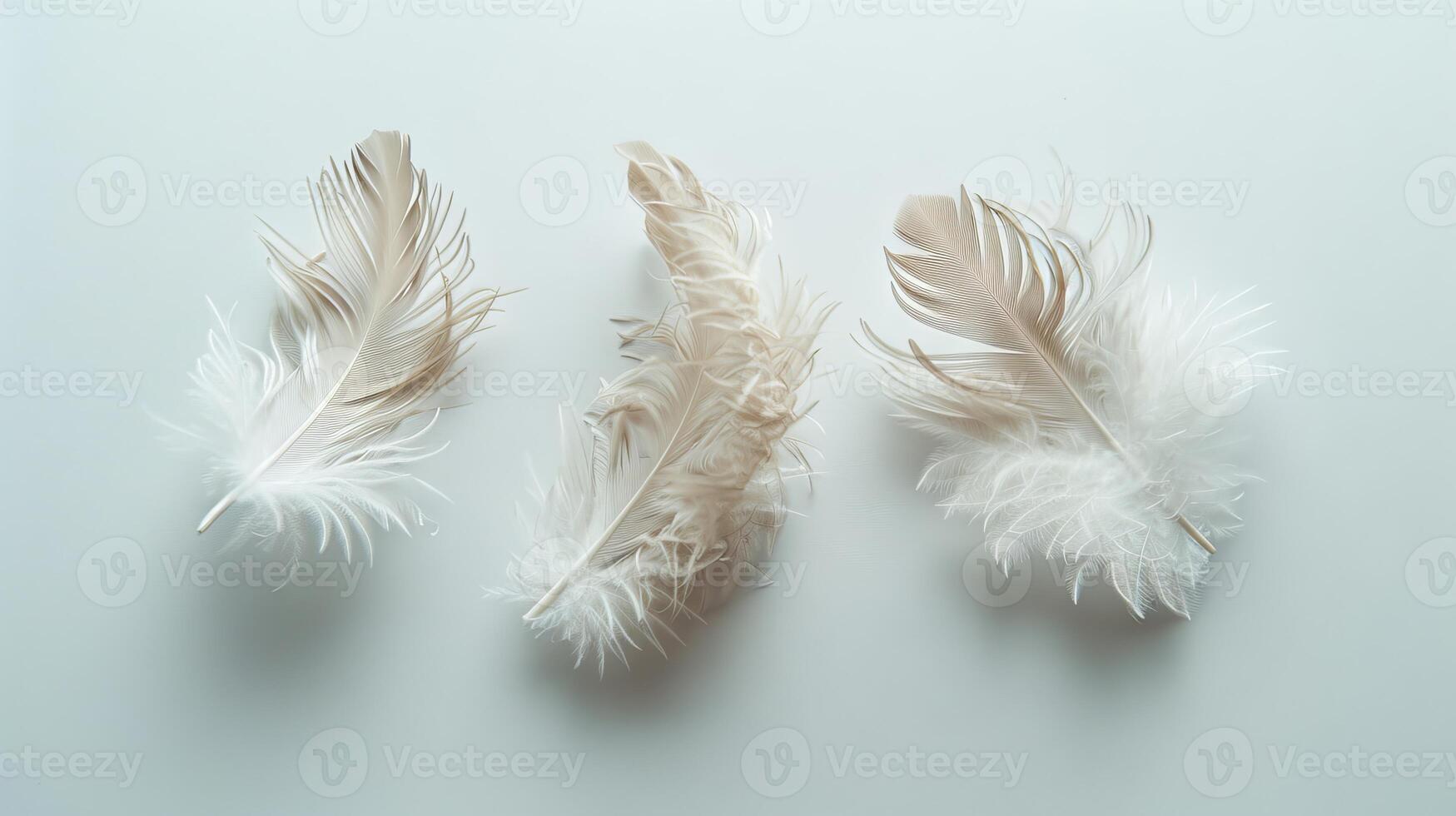 Boho chic feathers floating elegantly on a minimalist white surface photo