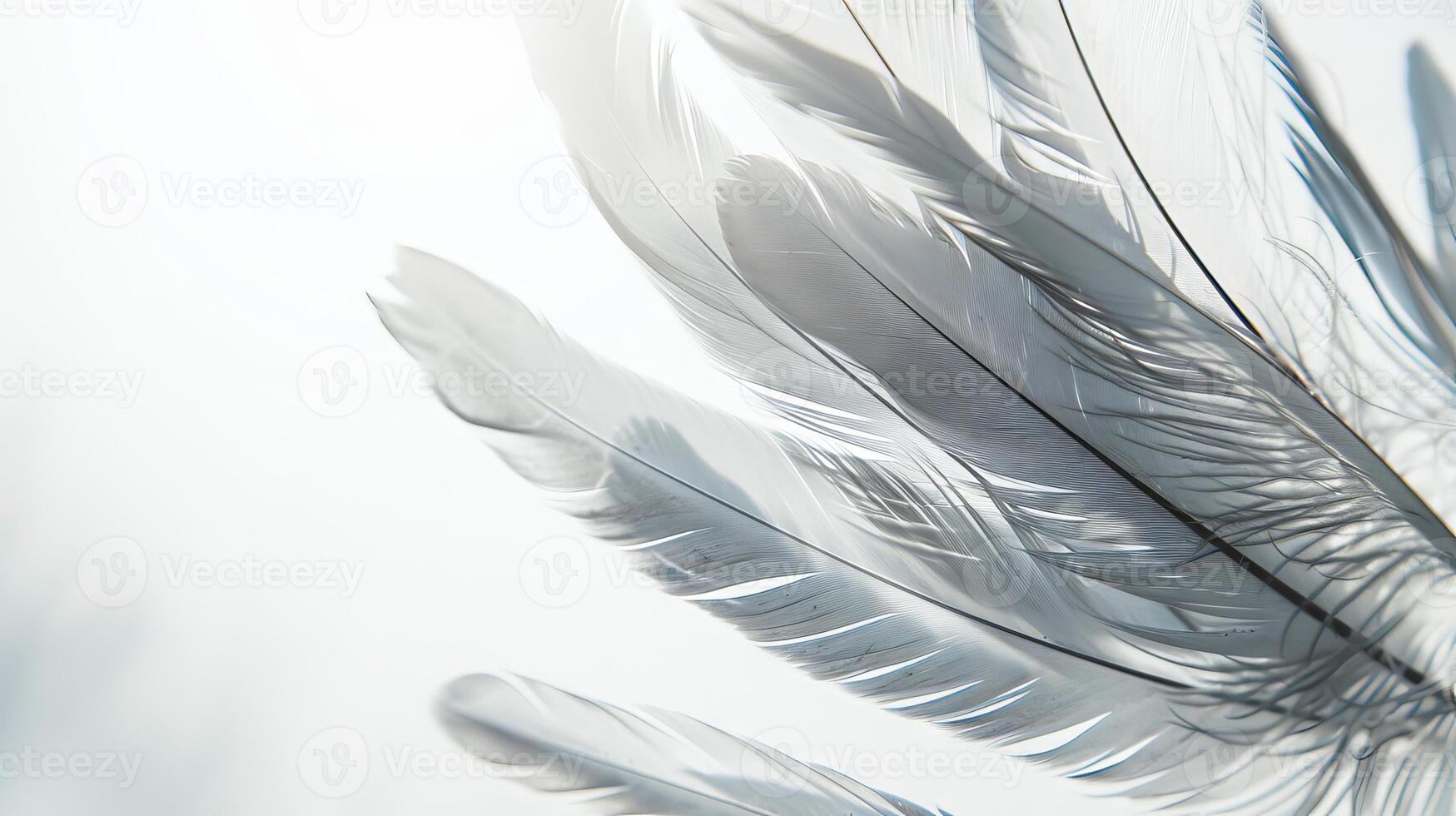 Boho-inspired feathers creating a serene and tranquil ambiance on white photo