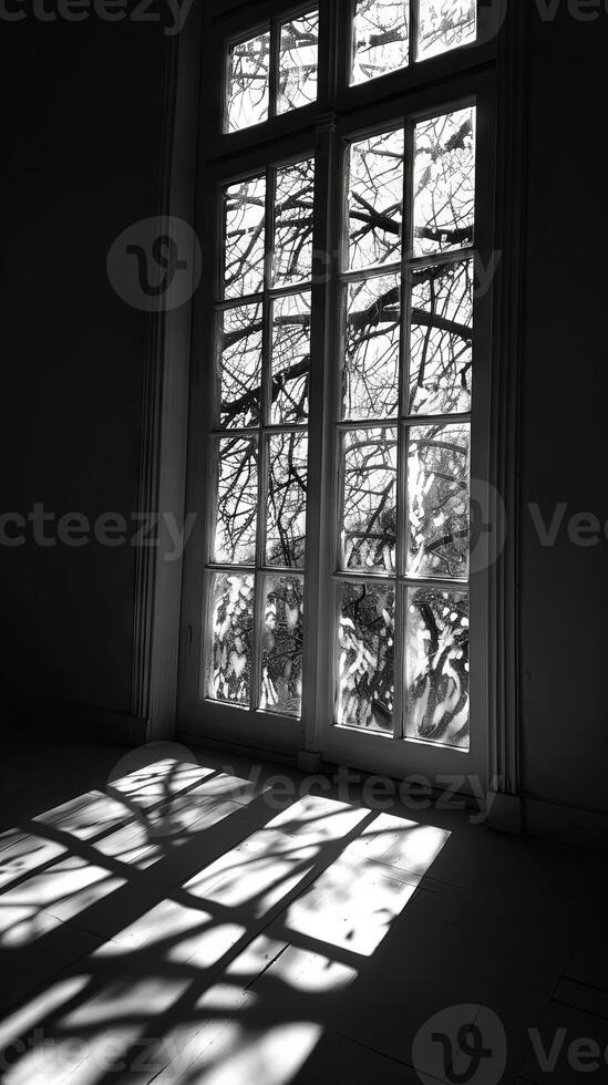 A window with a view of trees and a shadow on the floor. The window is open and the sunlight is shining through the glass photo