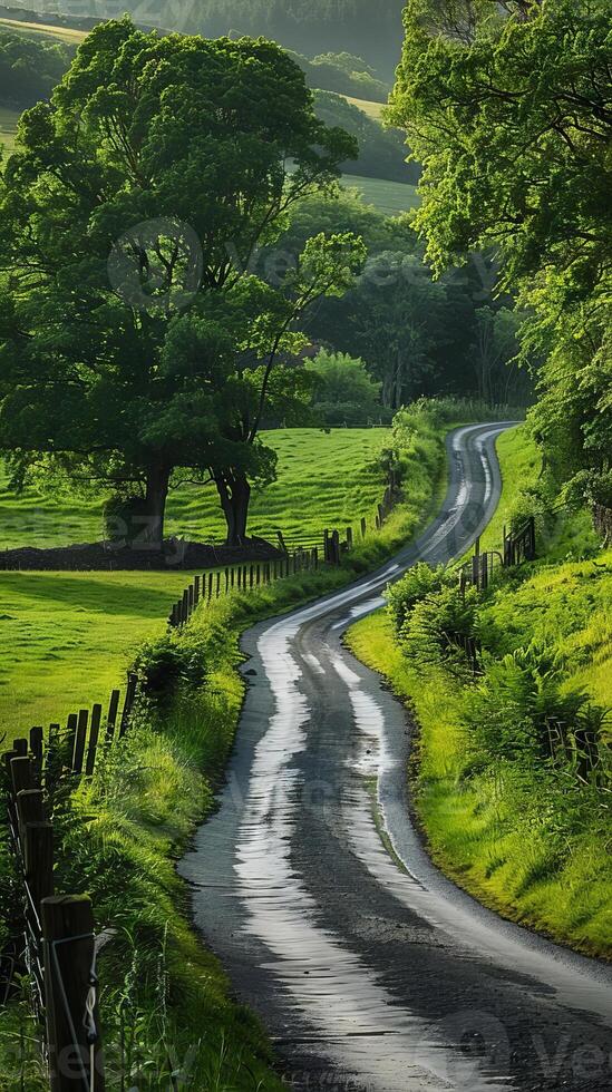 Quiet country lanes winding through the countryside photo