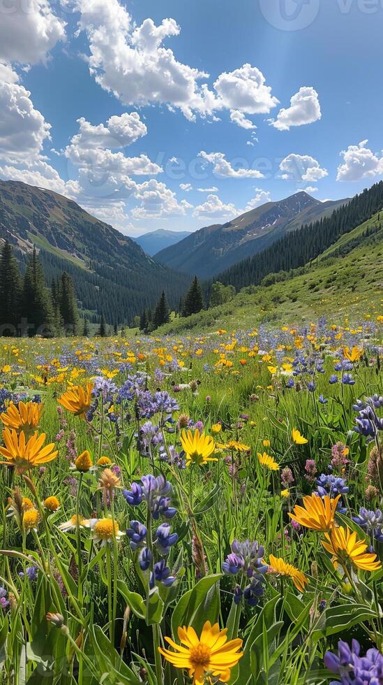Serene mountain meadows carpeted in wildflowers photo