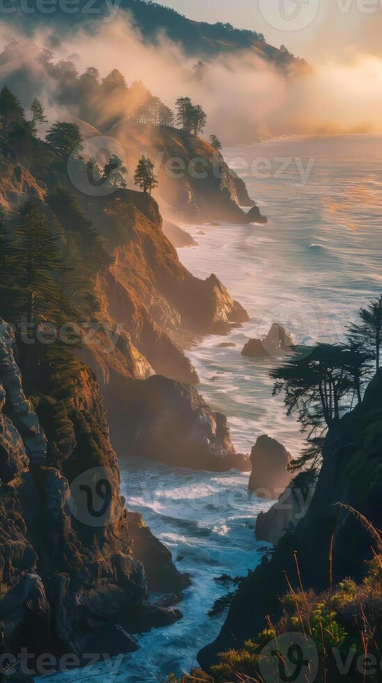 Pristine redwood forests towering over coastal cliffs photo