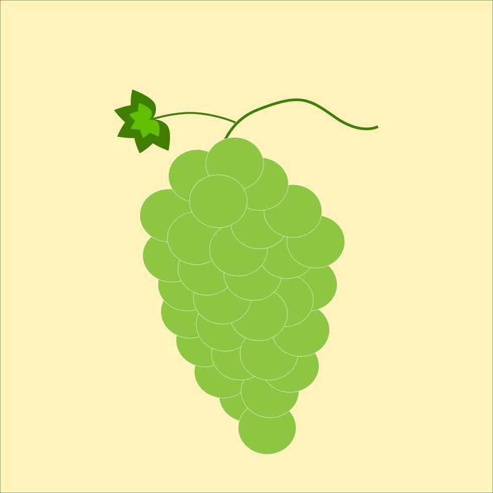 fresh green grapes vector