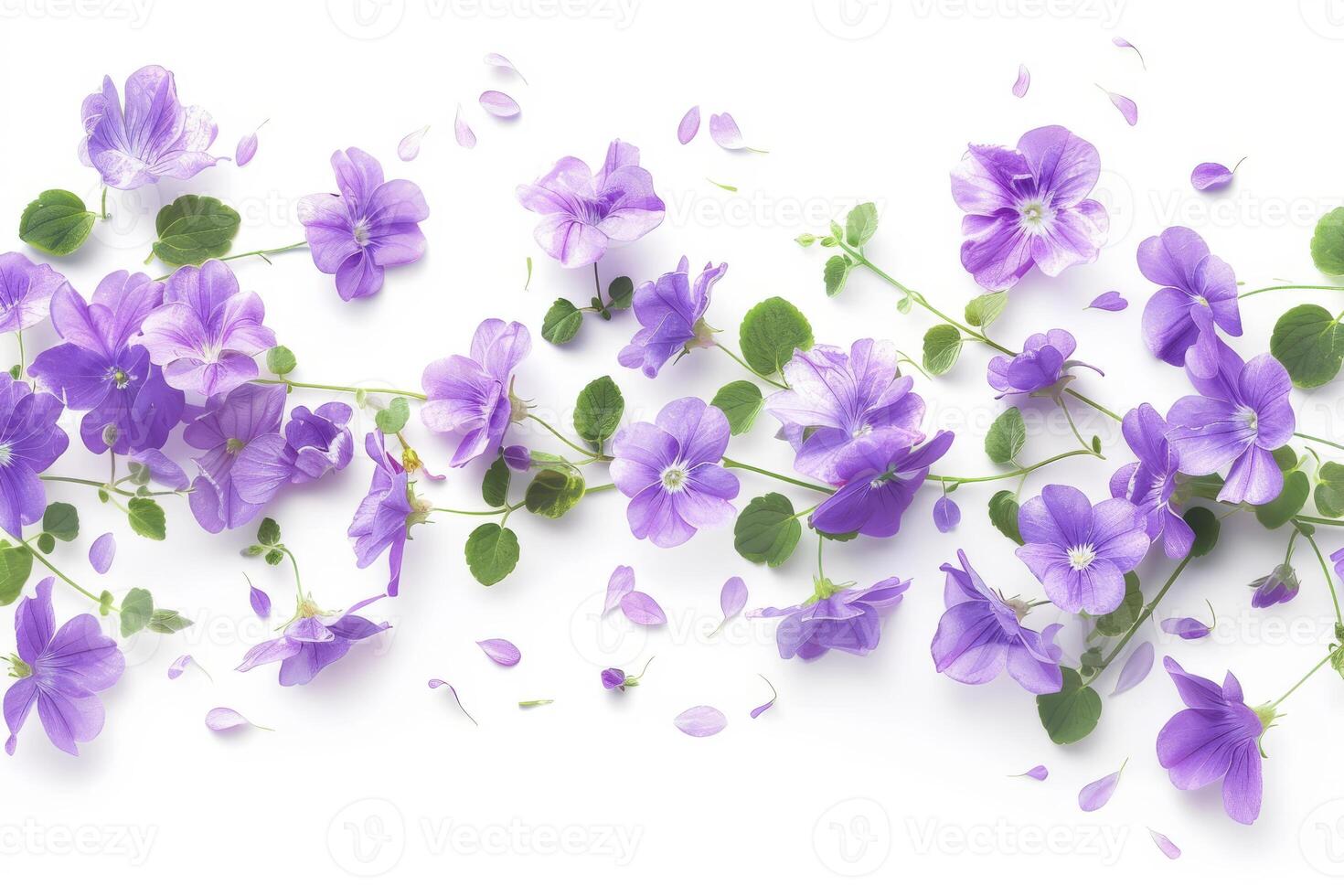 A bouquet of purple flowers with some petals scattered on the ground. The flowers are arranged in a line, with some of them overlapping each other photo