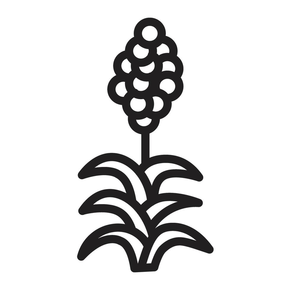 Quinoa Line Icon Design vector
