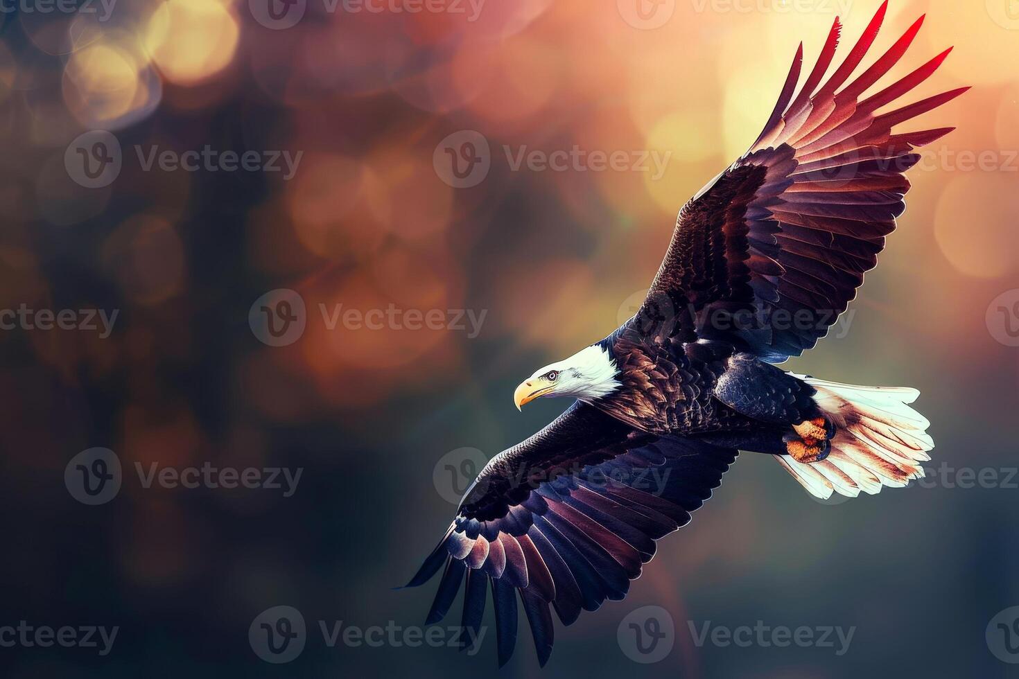 A large American eagle is flying through the air with its wings spread wide. photo