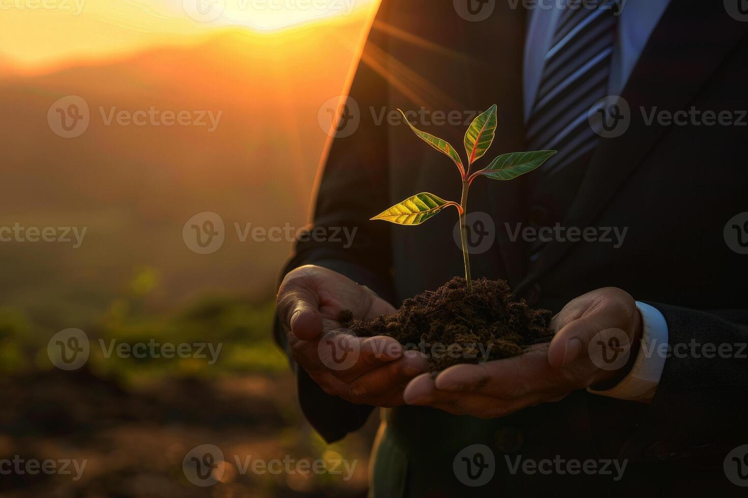 Business man using the tree plant to support environmental and sustainable development. ecological concept. photo