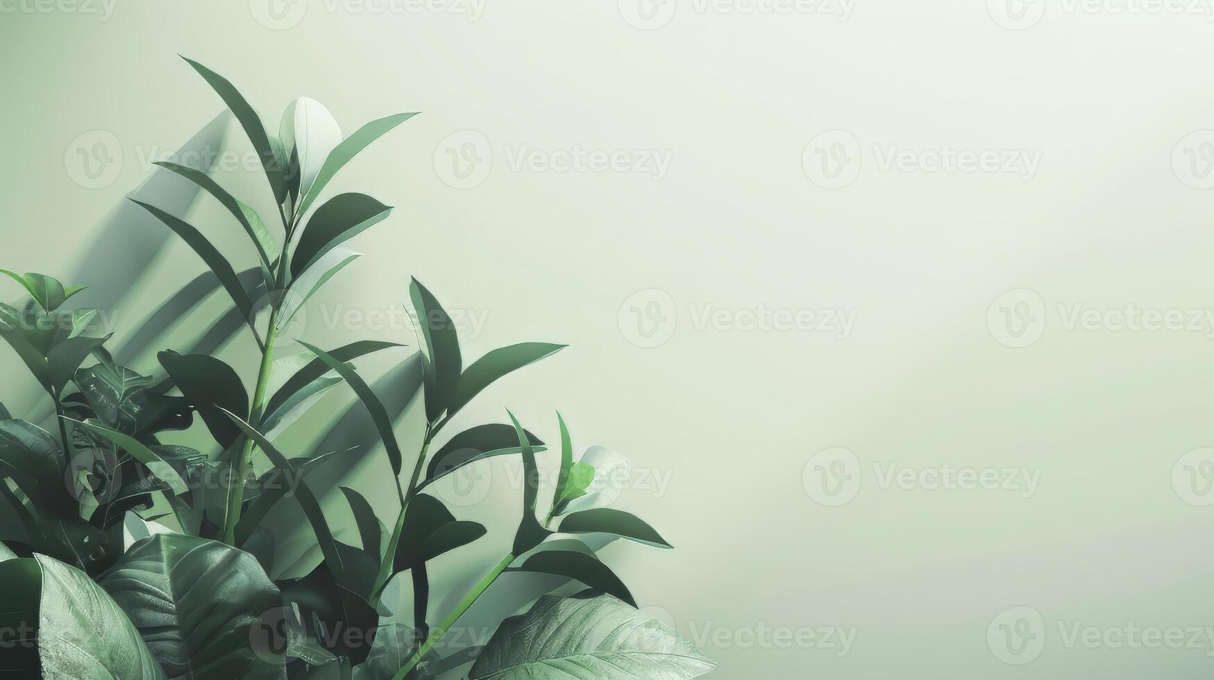 Clean and simple backdrop with clear area for text overlay photo