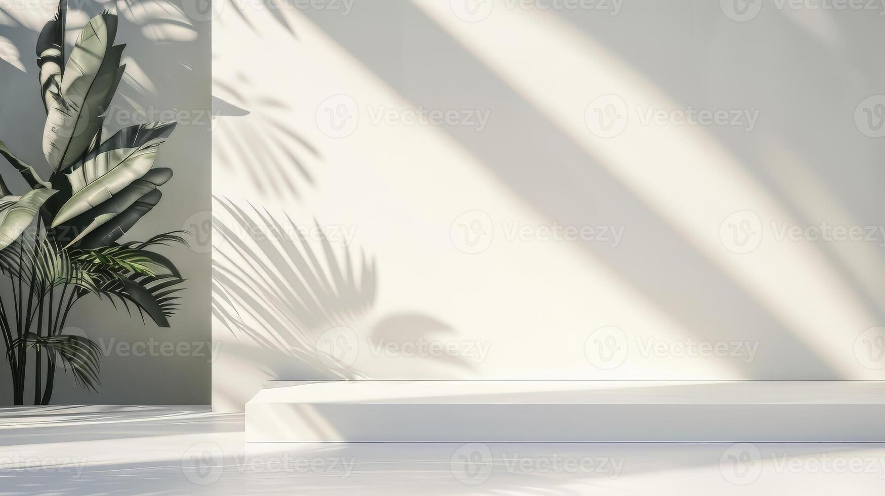Clean and simple backdrop with clear area for text overlay photo