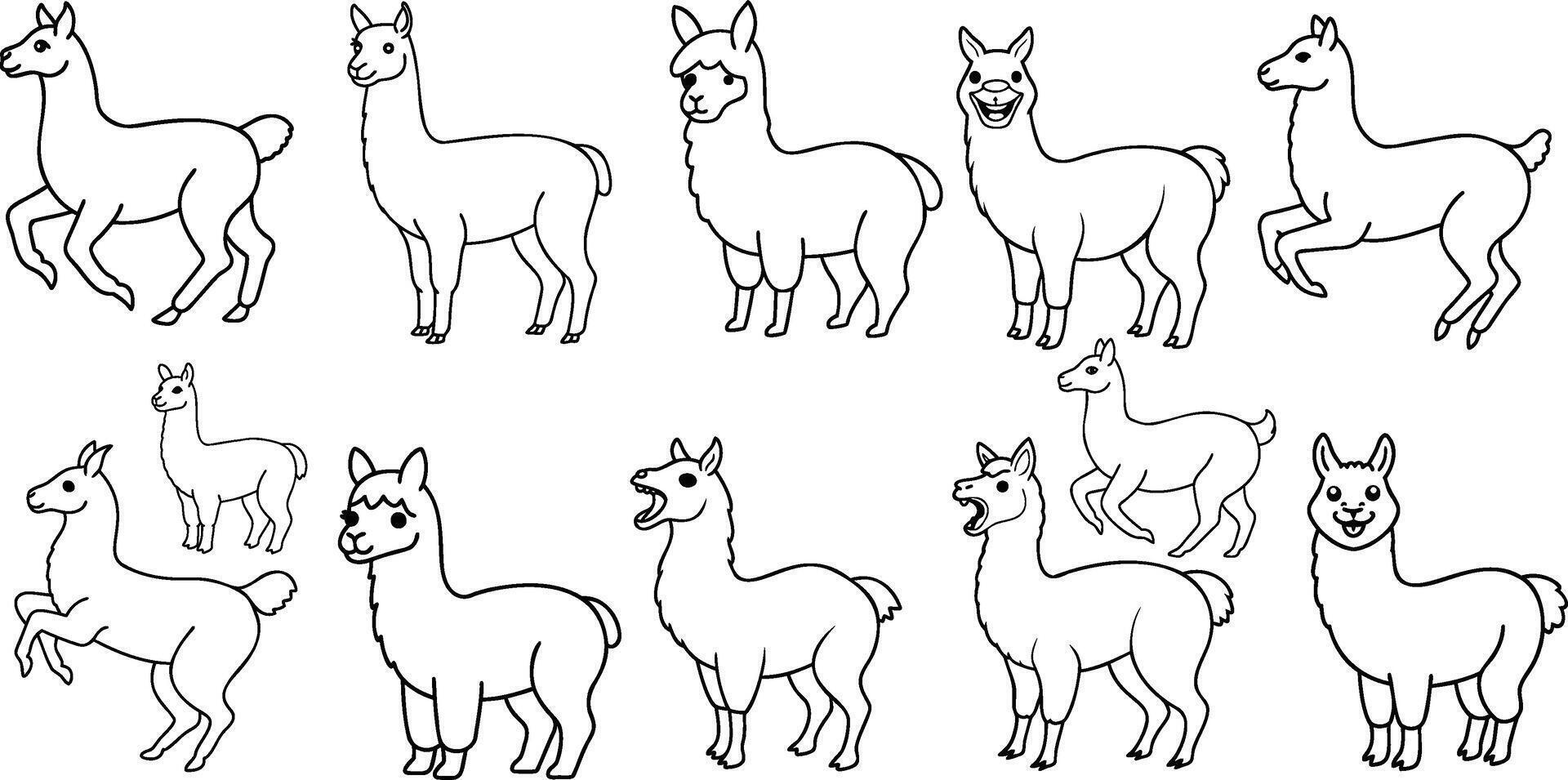 animal line art design , design vector
