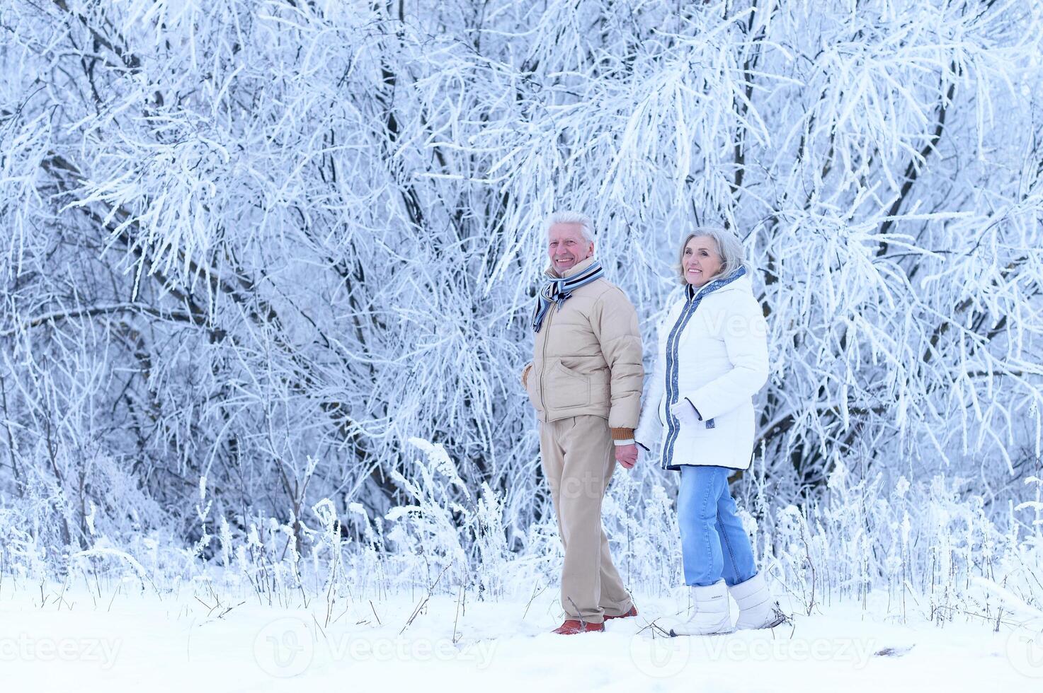 Elderly couple walks in nature in winter photo