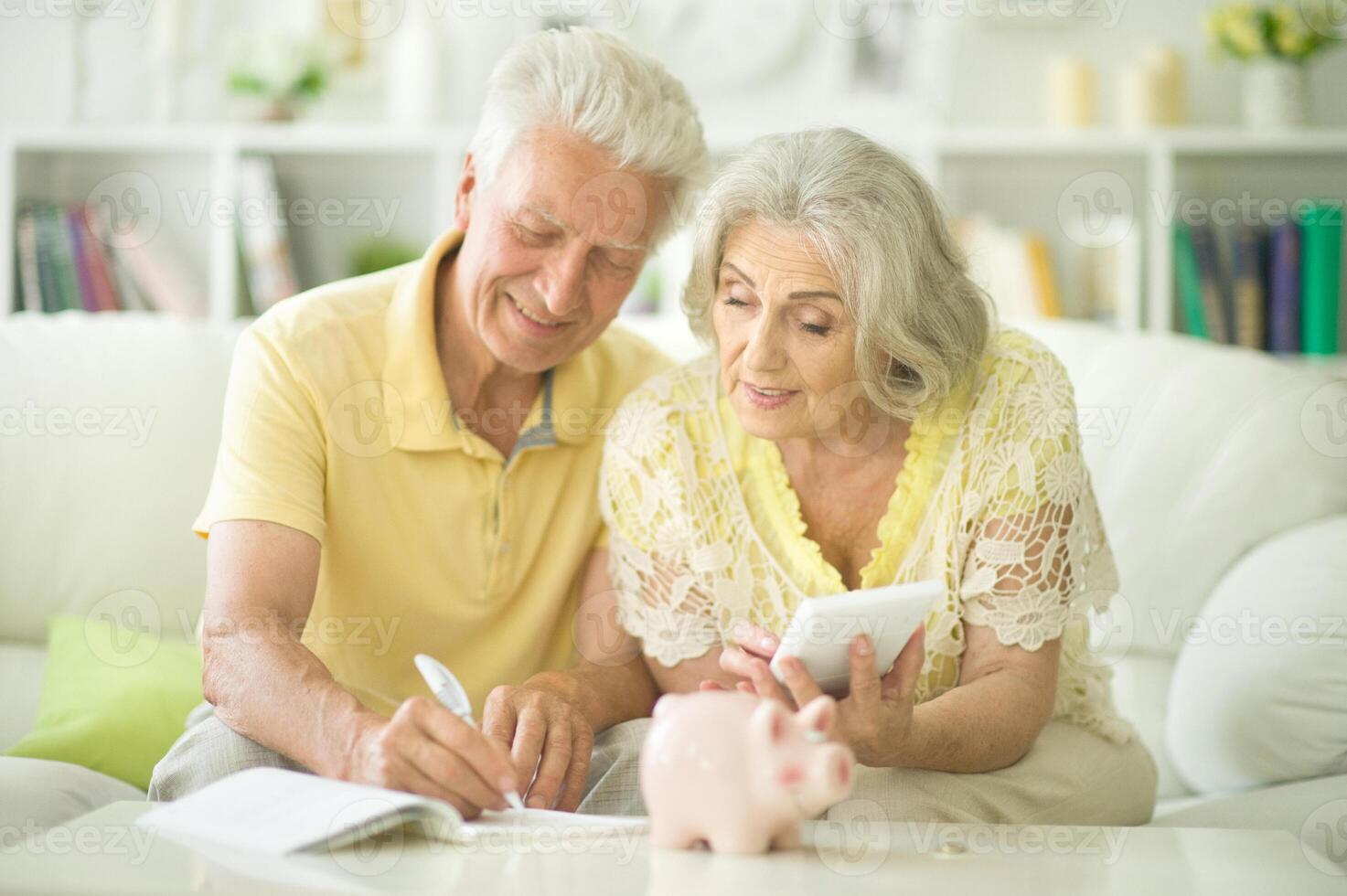 Couple of seniors sitting using calculator counting money photo