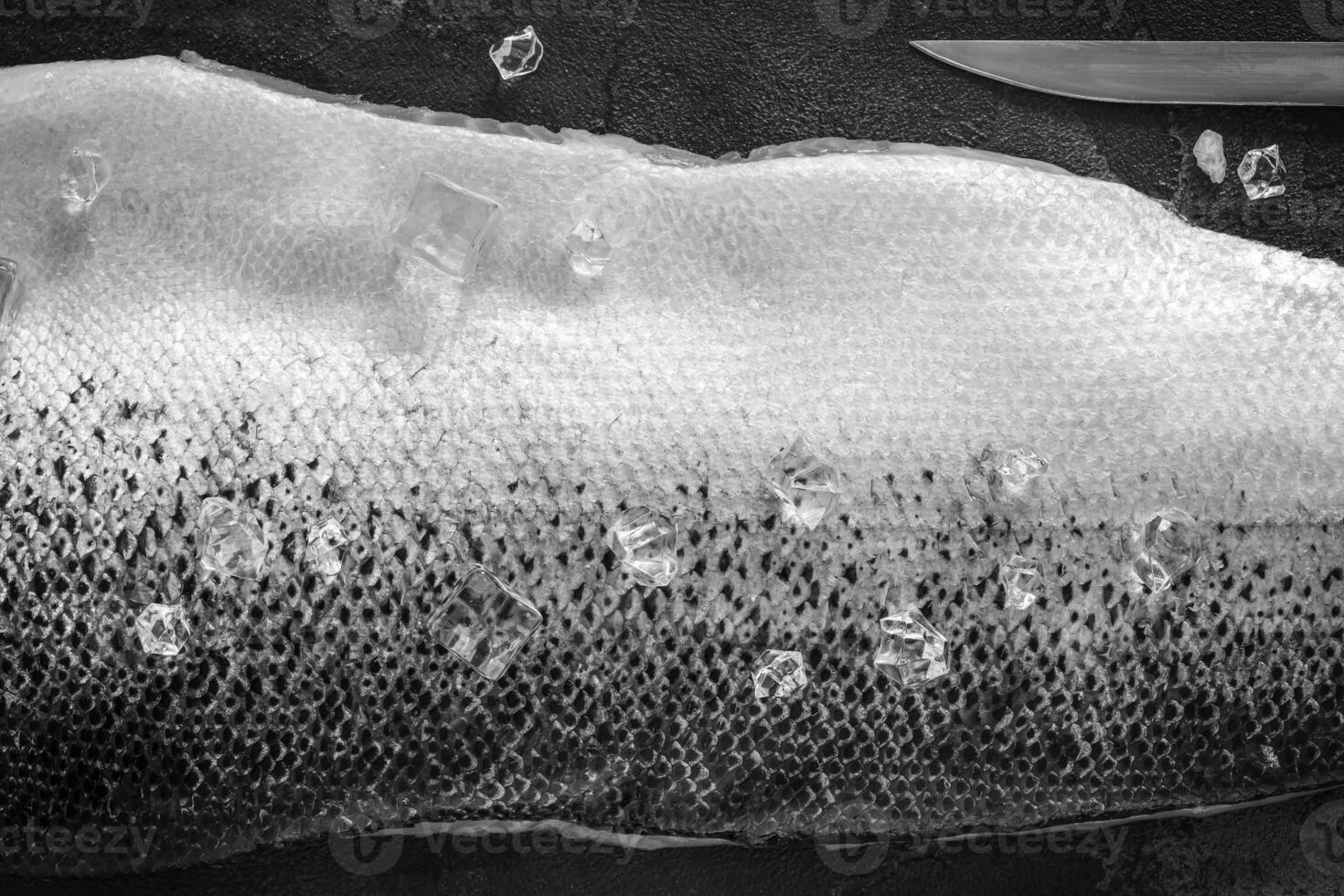 Black and white food photo of fresh sea fish with ice cubes and a knife
