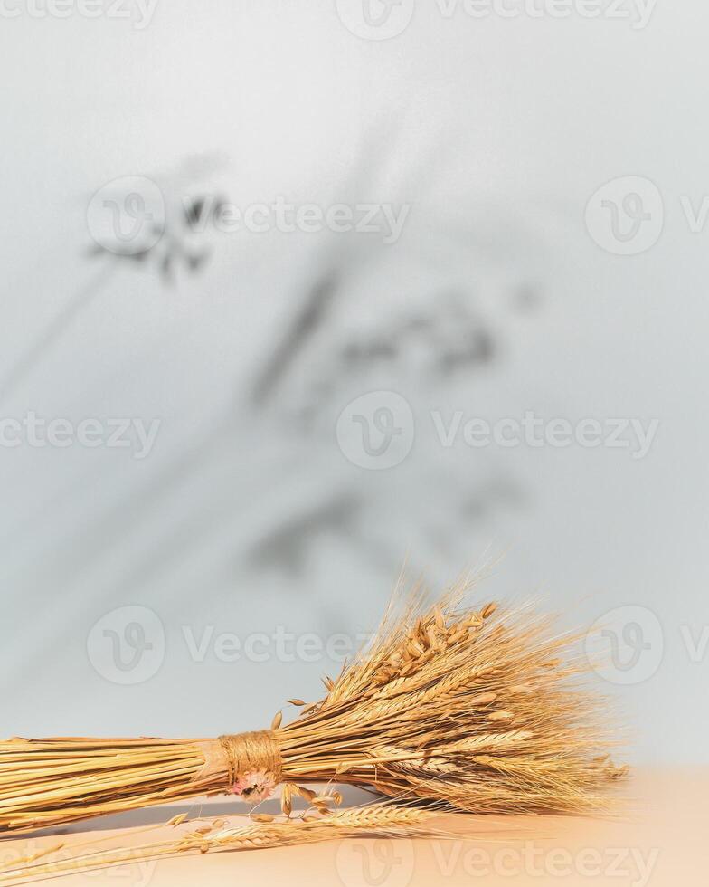 Summer background with a bouquet of wheat and barley ears and copy space photo