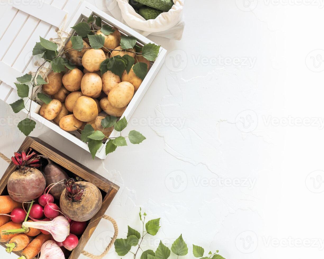 Wooden boxes full of fresh organic vegetables from the local market on a white table photo