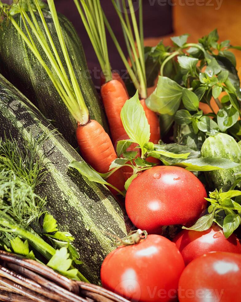 local, farm vegetables in a basket. tomatoes, cucumbers, zucchini, carrots, parsley, dill and basil photo