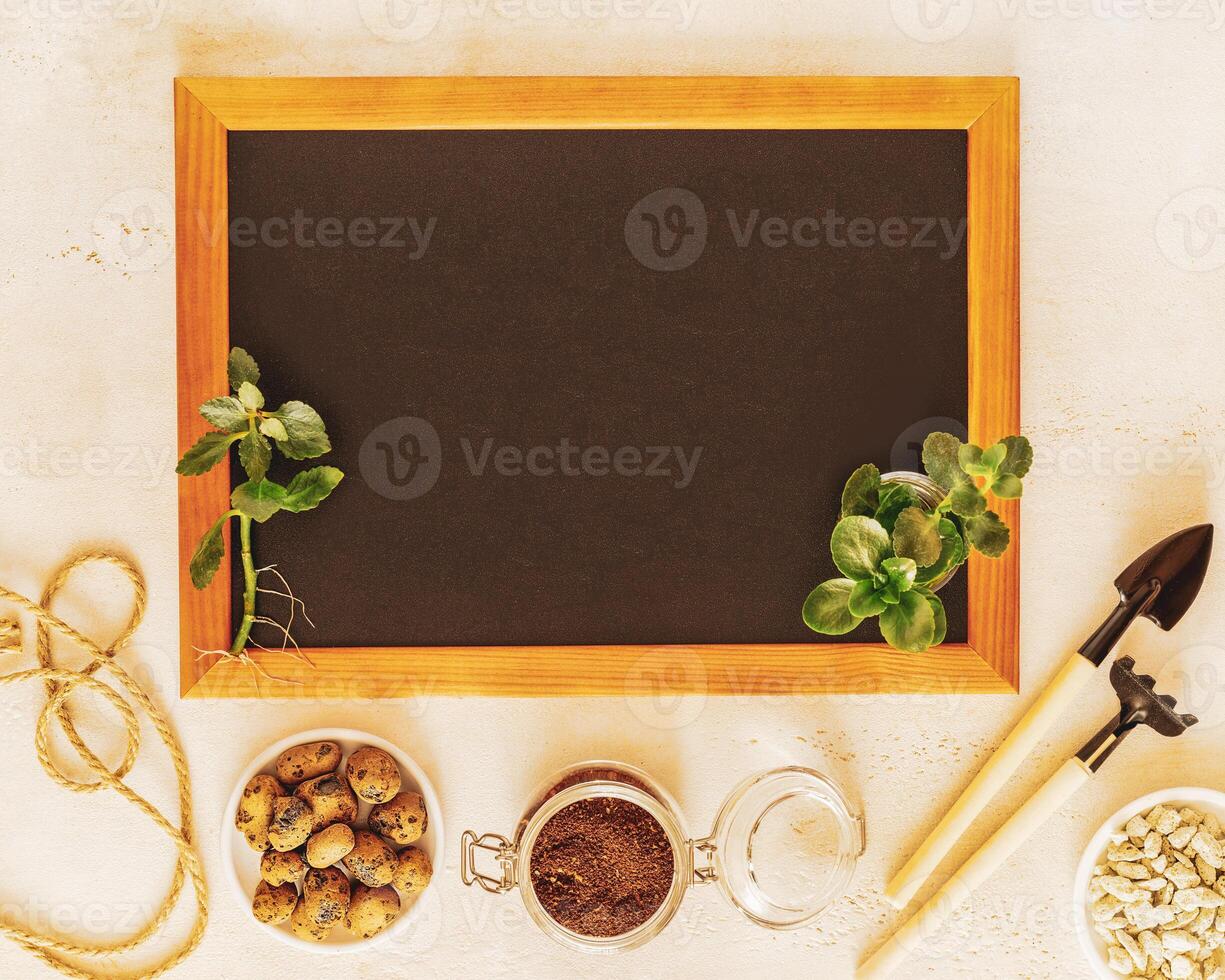 Composition with kalanchoe sapling, garden tools and chalkboard with copy space photo