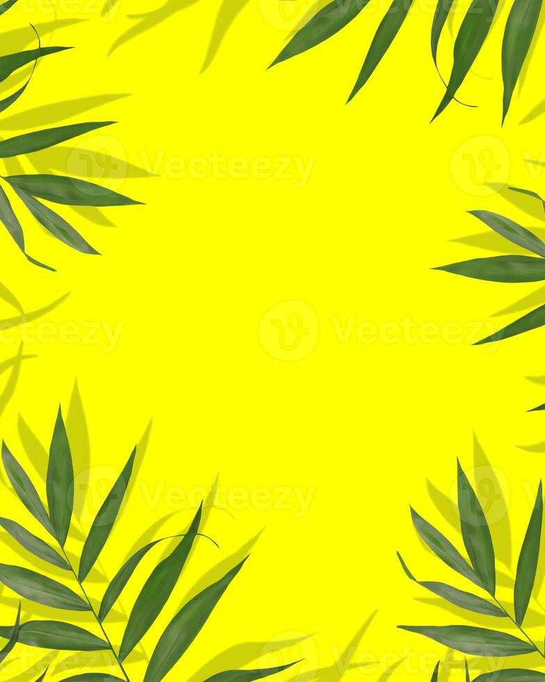 Frame of tropical palm leaves with shadows on sunny yellow background photo