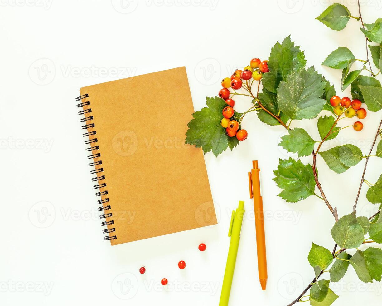 Craft notebook, hawthorn twigs and colored pens on a white background photo