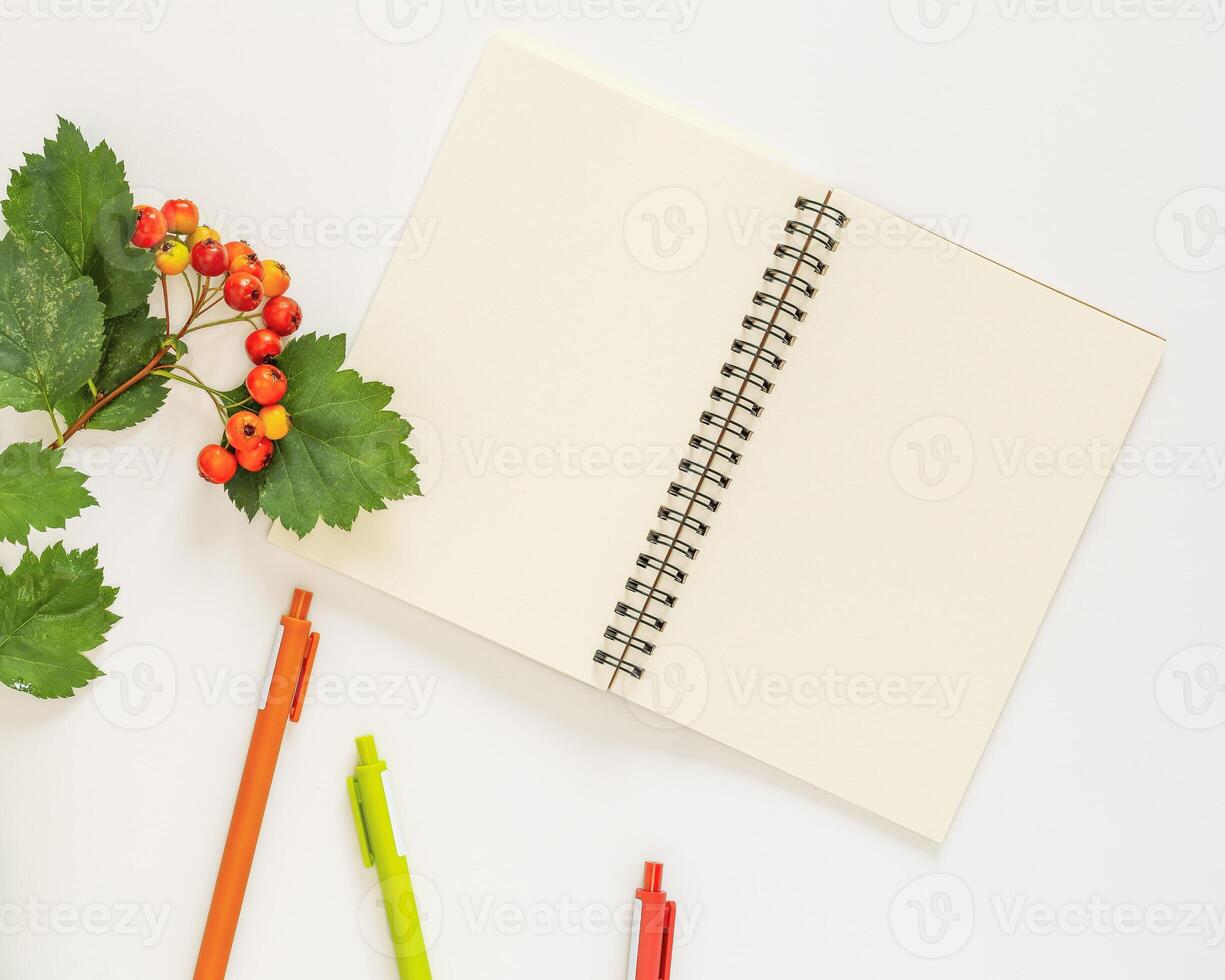 An open notebook with white sheets of paper, hawthorn twigs and colored pens on a white background photo
