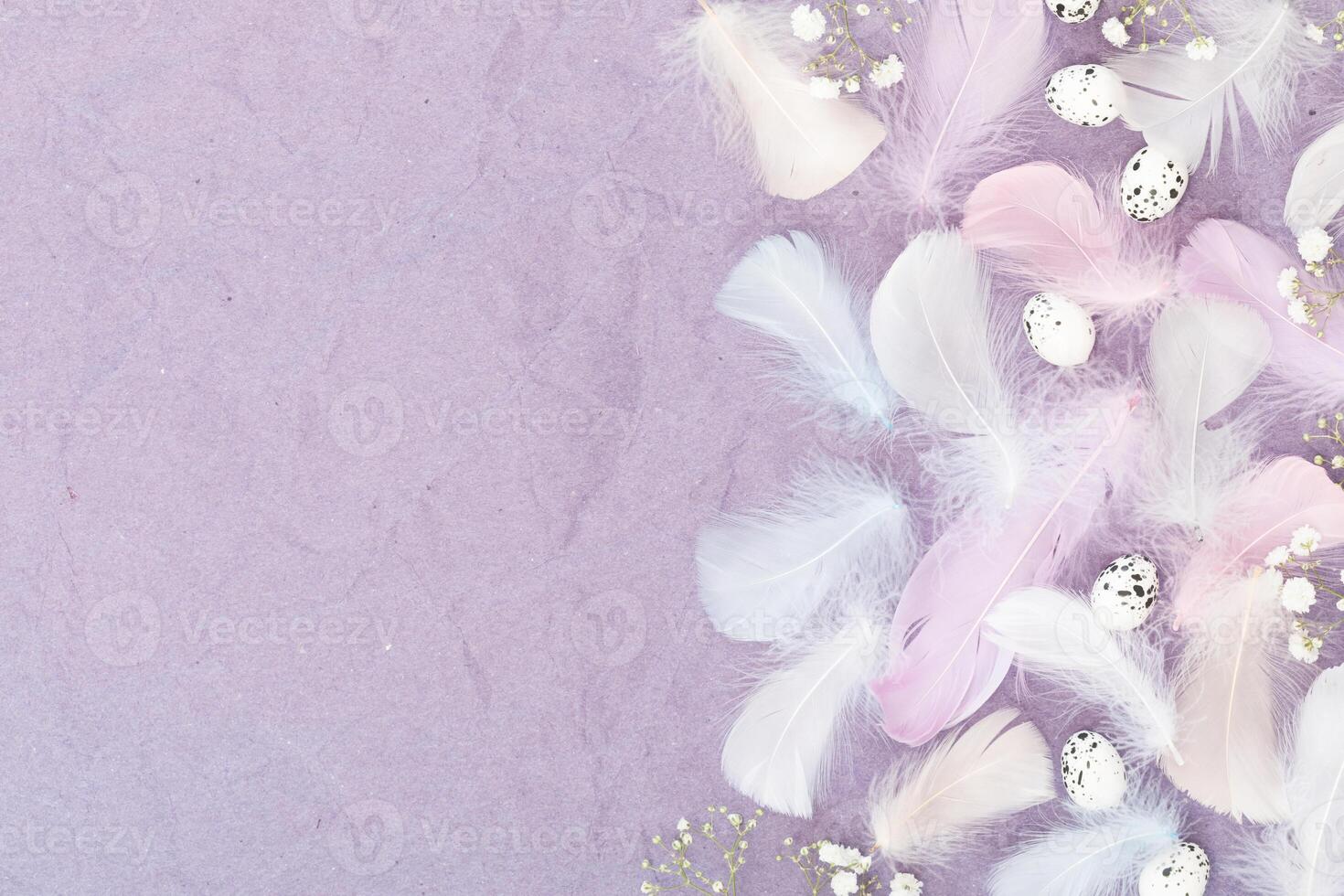 Eathers, eggs and white gypsophila flowers on a violet background photo