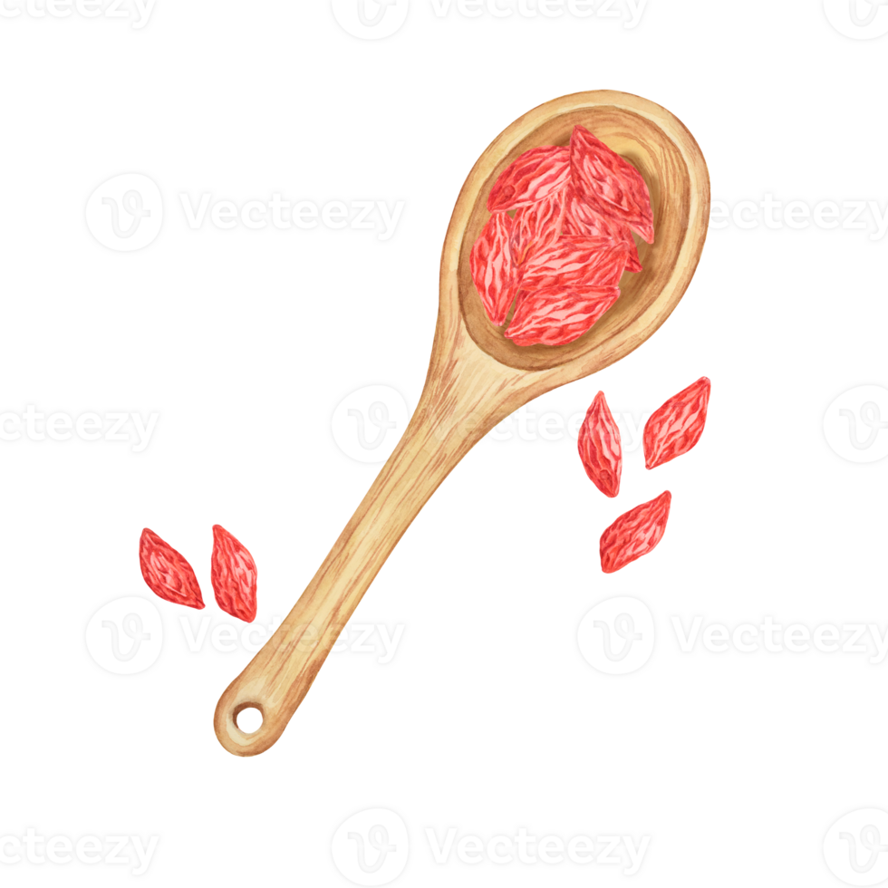 Wooden spoon with dry goji berries in watercolor. Hand-drawn clipart of licium barbarum fruits. Design for printing, packaging, cards, posters, food supplements png