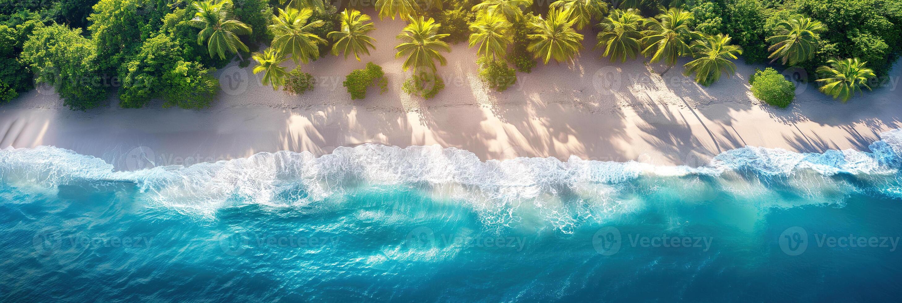 panorama of tropical paradise island with sandy beach and palm trees on coast in ocean. Top aerial view photo
