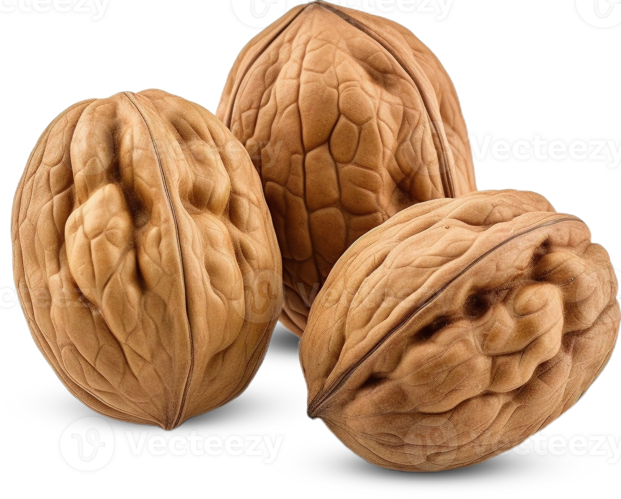 walnut transparent background png