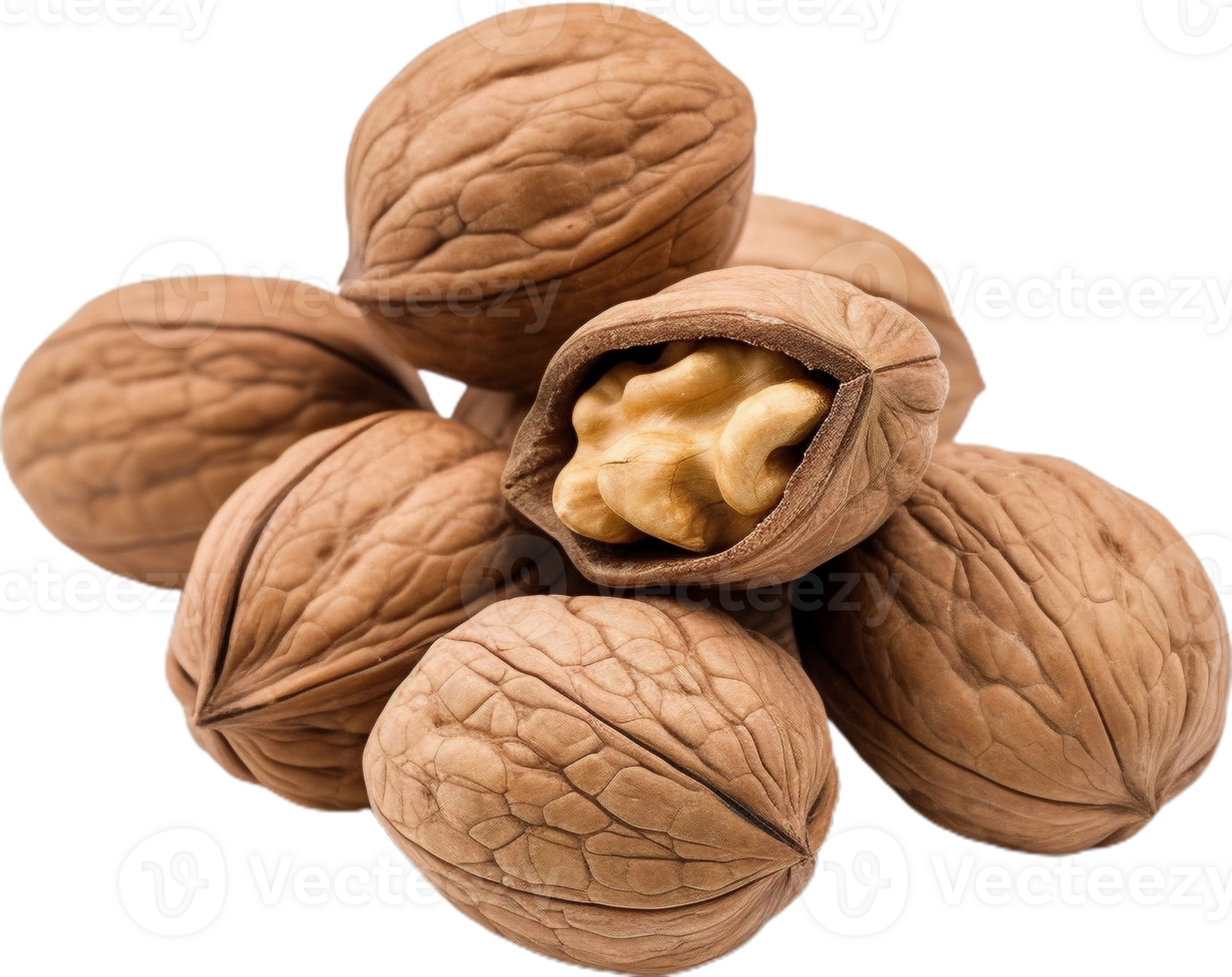 walnut transparent background png