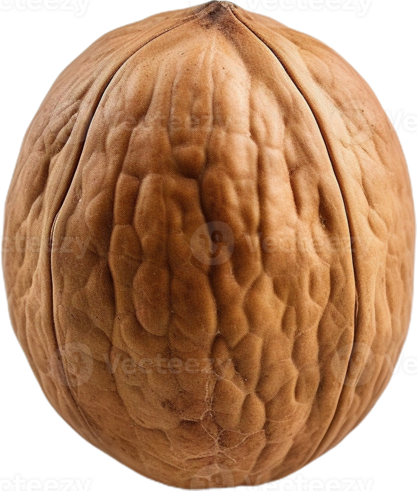 walnut transparent background png