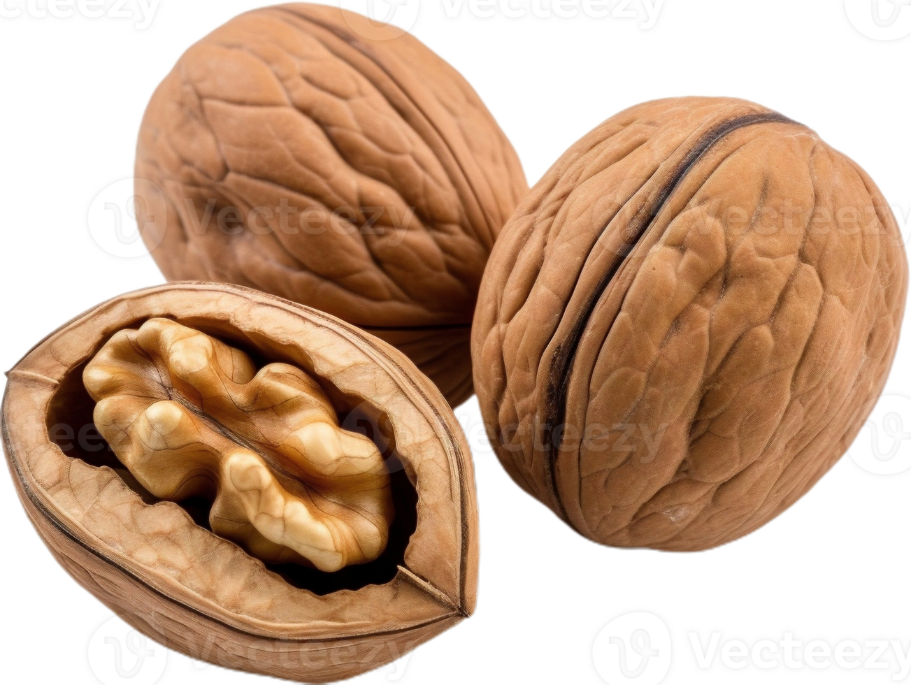 walnut transparent background png