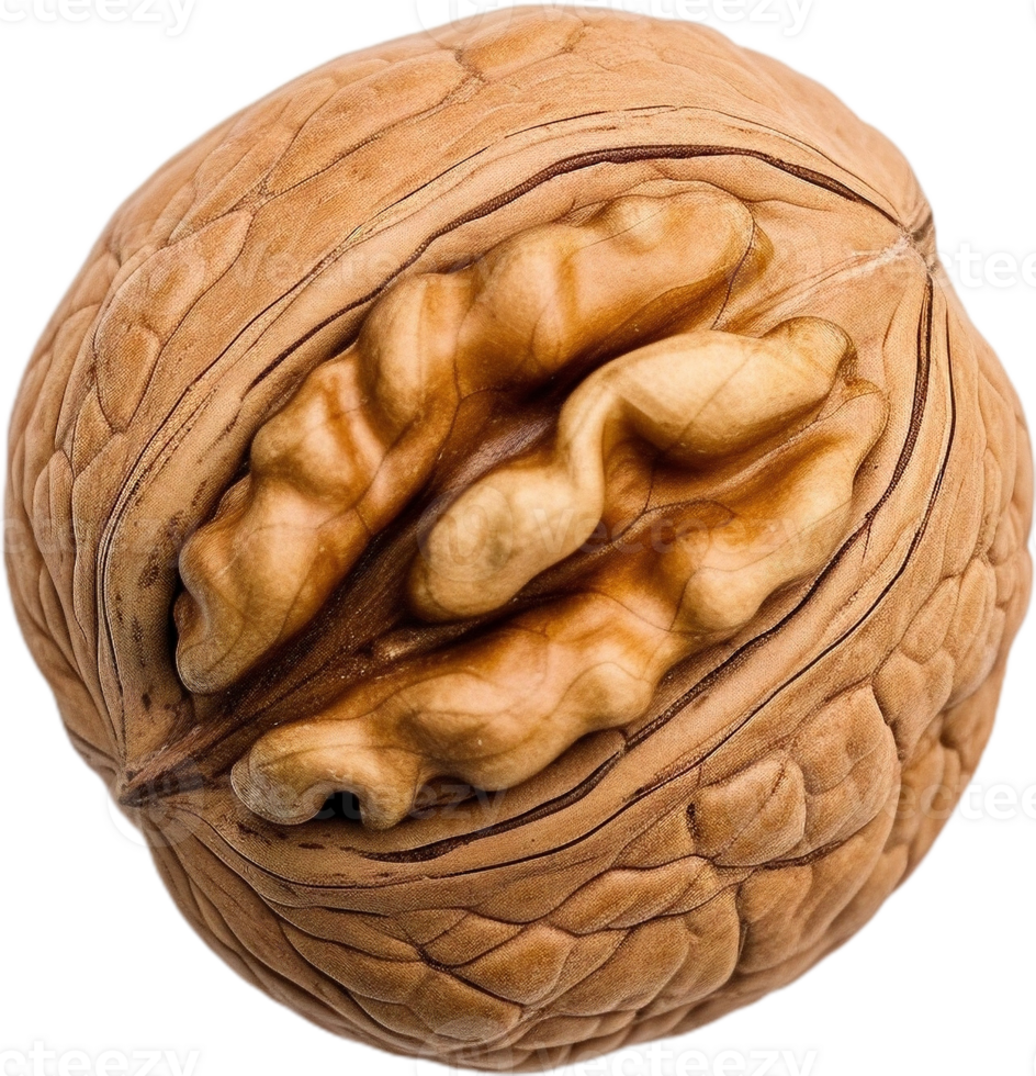 walnut transparent background png