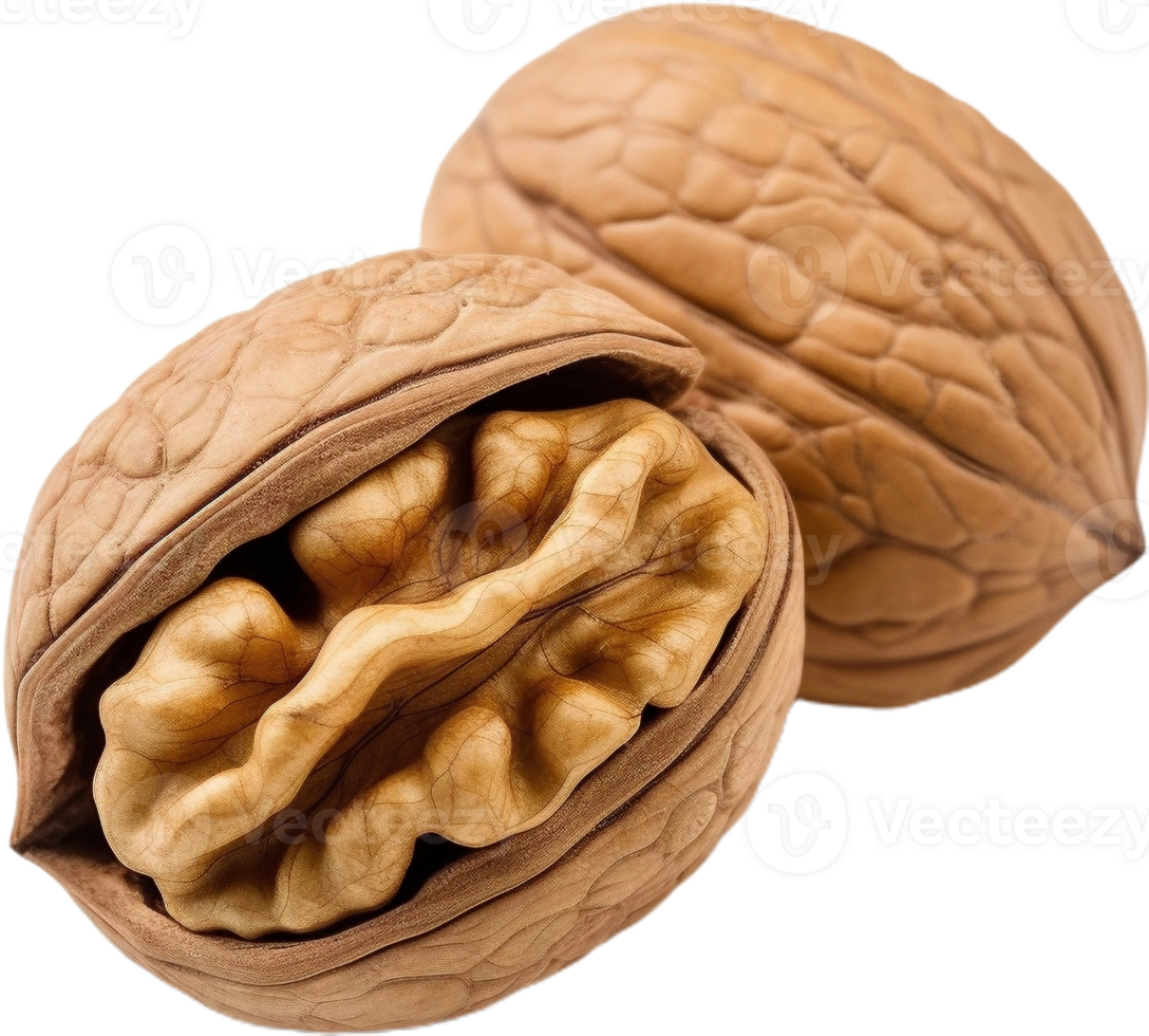 walnut transparent background png