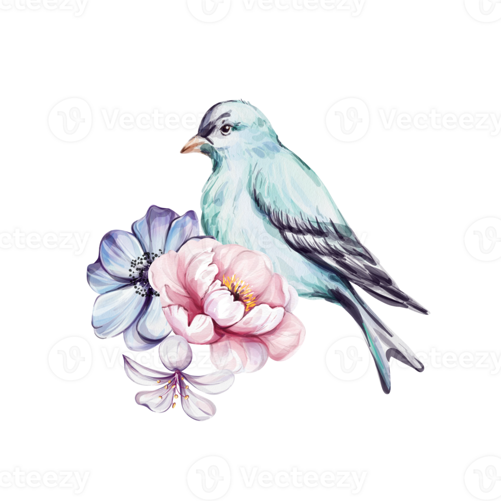 Watercolor springtime composition - blue victorian beard and pink roses, flower and botanical clip art. Romantic anemone and peony. Isolated. For greeting cards, wedding, fabric, printing png