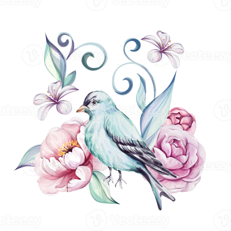 Watercolor springtime composition - blue victorian beard and pink roses, flower, brunch and leaves. Springtime botanic. Romantic peony. Isolated. For greeting cards, wedding, fabric, printing png