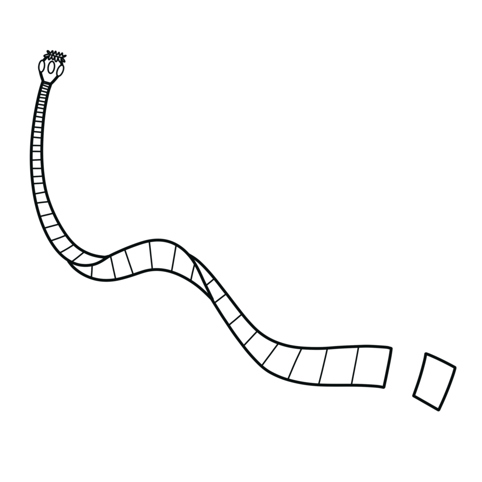 Adult tapeworm in small intestine by hand drawn png