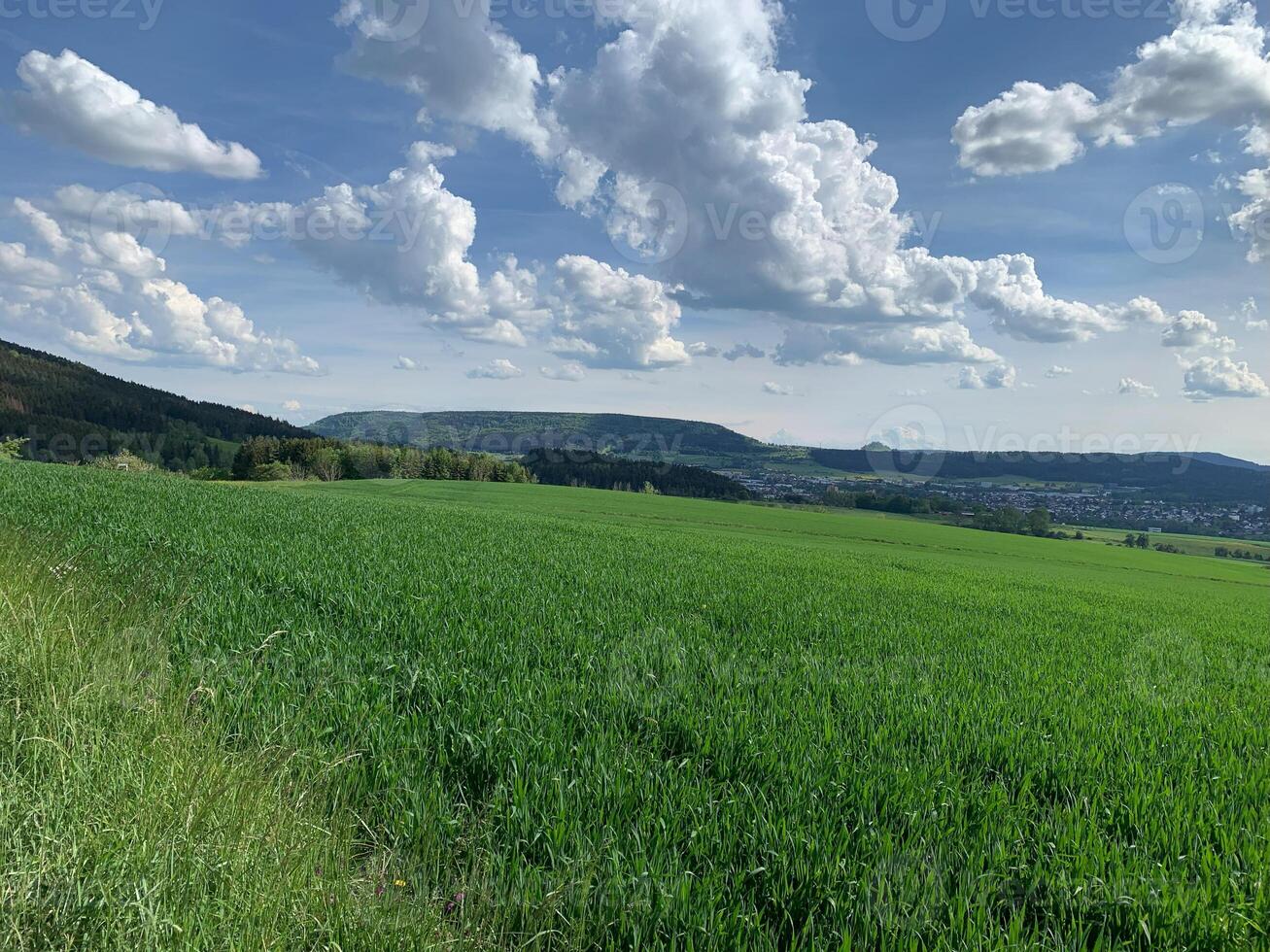 A vast green field stretching into the distance, set against a sky filled with fluffy white clouds. The clouds cast shadows on the field, creating a dynamic and ever-changing scene photo