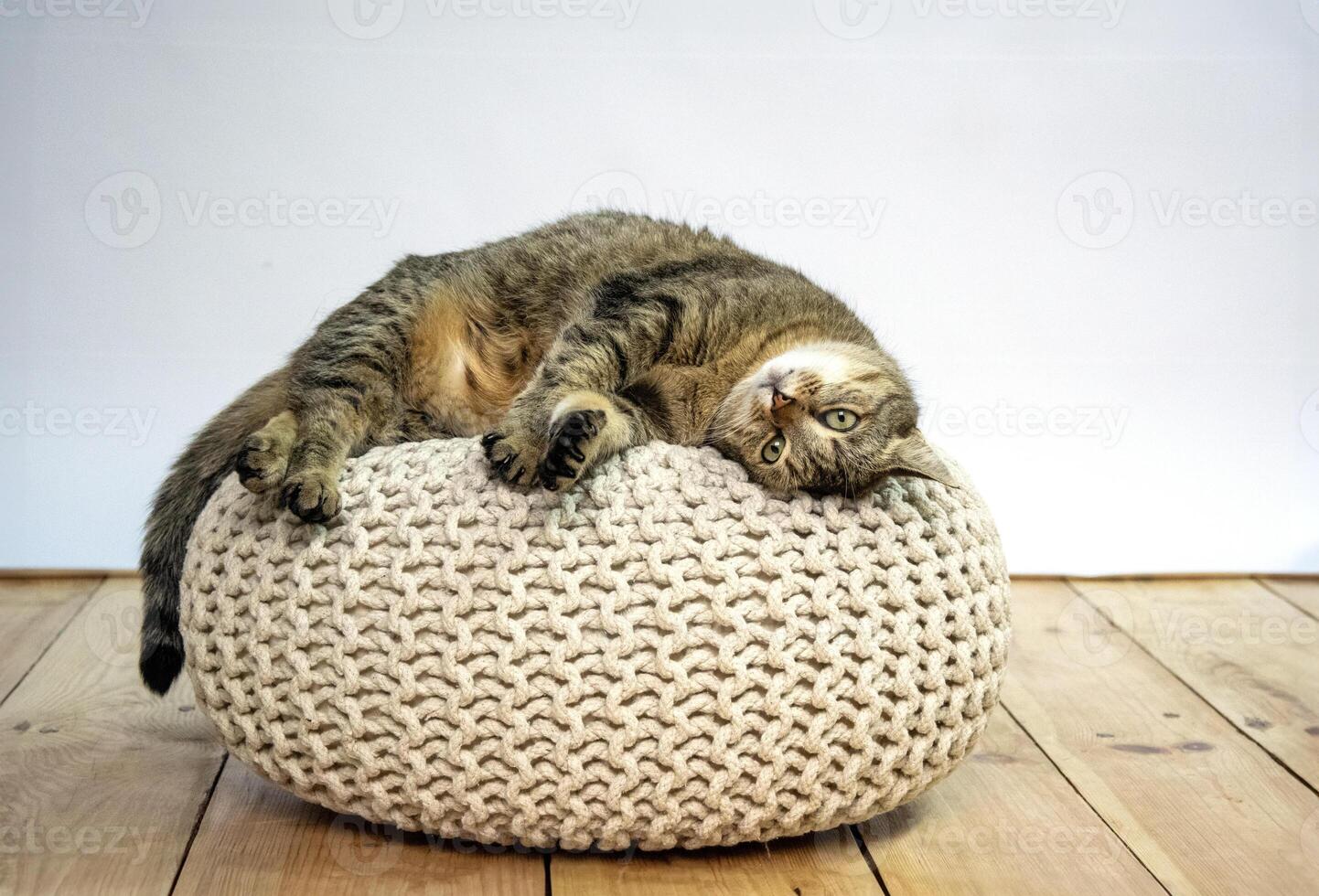 A tabby cat is laying upside down on a knitted pouf, looking up with a relaxed expression. The cats paws are outstretched and its tail is curled around the pouf. photo
